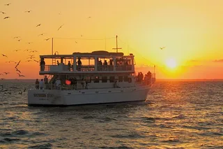 Destin Dolphin Cruise at Sunset 90 min