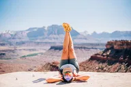 Zion National Park Petroglyphs and Dino Tracks Tour thumbnail 3
