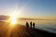 Seattle Olympic National Park Tour: Silent Forest - 3 Days thumbnail 1
