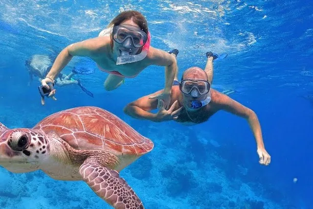 Oahu Circle Island Tour Full Day Experience - Image 3