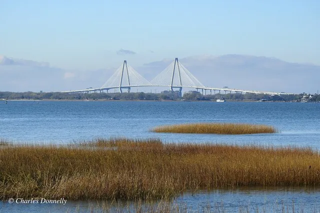 Charleston Bird Watching Tour 75 Min - Image 4