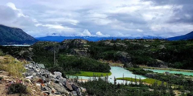 Skagway City & White Pass Summit Tour - Image 3
