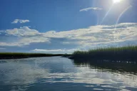 Wrightsville Beach Eco Kayak Tour 90 min thumbnail 4