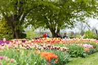 Philadelphia Brandywine Valley and Longwood Gardens Tour 4 hr thumbnail 2