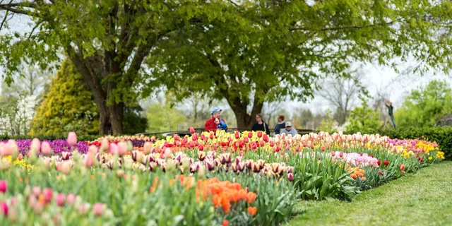 Philadelphia Brandywine Valley and Longwood Gardens Tour 4 hr - Image 2