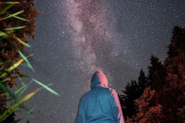 Sequoia National Park Stargazing Tour - Image 2