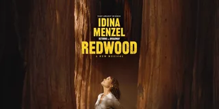 New York Broadway Show: Redwood Starring Idina Menzel