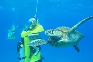 Oahu Submarine Scooter Adventure thumbnail 5