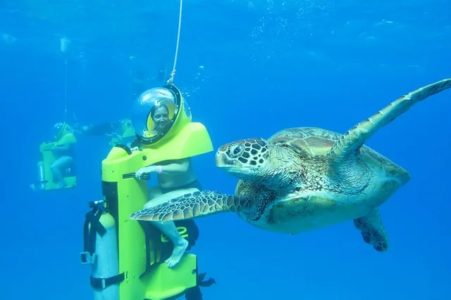 Oahu Submarine Scooter Adventure - Image 5