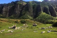 Oahu Photo Tour thumbnail 6