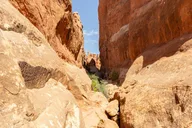 Sedona Colorado Plateau Private Tour thumbnail 5