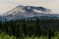 Seattle Mount Rainier National Park Day Tour thumbnail 1