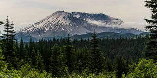 Seattle Mount Rainier National Park Day Tour