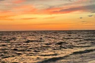 Naples Clear Kayak Sunset and Glow Tour 2 hr thumbnail 5