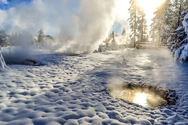 Yellowstone & Grand Teton Winter Tour 4-Day - Image 6