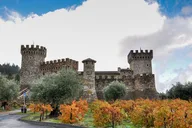 San Francisco Napa Valley Wine Tour thumbnail 6