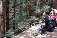 San Francisco Muir Woods and Sausalito Tour thumbnail 4