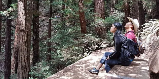 San Francisco Muir Woods and Sausalito Tour - Image 4