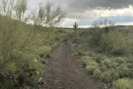 Arizona Horseback Trail Ride thumbnail 5