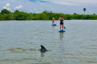 Banana River Eco Paddle Tour thumbnail 2