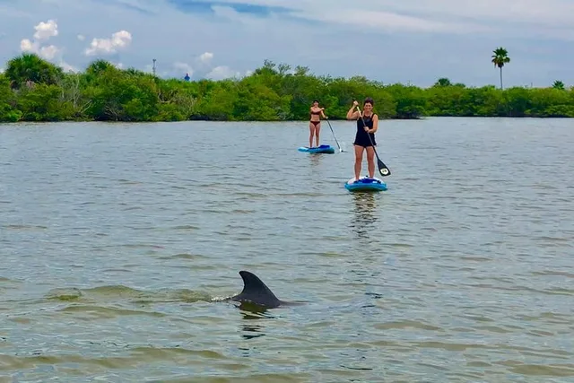 Banana River Eco Paddle Tour - Image 2