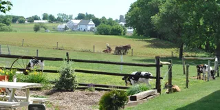 Lancaster Amish Experience Tour 3 hr