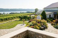 Ithaca Cultural Wine Tour thumbnail 6
