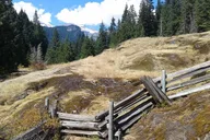 Seattle Mount Rainier Tour thumbnail 5