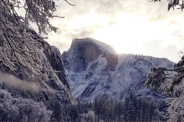 Yosemite Winter Highlights Small Group Tour - Image 5
