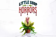 New York Little Shop of Horrors Off-Broadway Show thumbnail 1