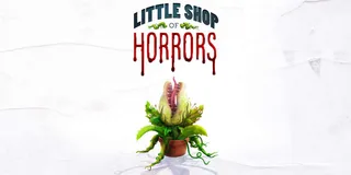 New York Little Shop of Horrors Off-Broadway Show