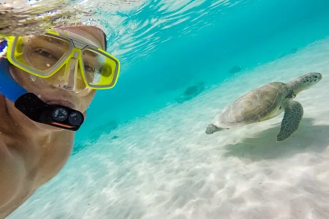 Honolulu Snorkeling Adventure - Image 5