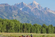 Jackson Hole Snake River Float with Teton Views thumbnail 3