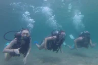 Panama City Scuba Diving for Beginners thumbnail 4