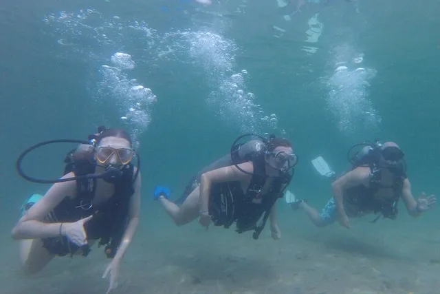 Panama City Scuba Diving for Beginners - Image 4