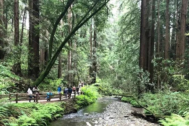 San Francisco Muir Woods and Marin Headlands Tour - Image 6