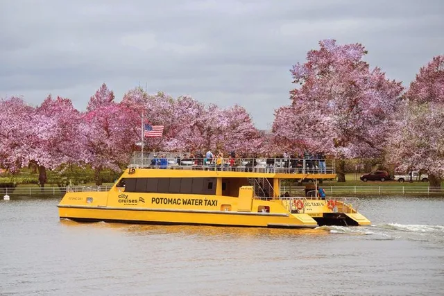 Washington DC Water Taxi Tour - Image 5