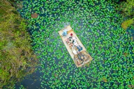 Miami Airboat Tour in the Everglades thumbnail 1
