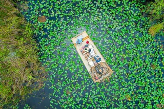 Miami Airboat Tour in the Everglades