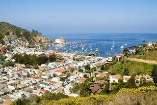 Avalon Walking Tour
