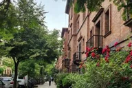 New York City Harlem Walking Tour thumbnail 4