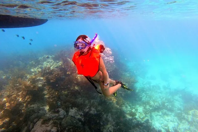 Key Largo Reef Snorkel Tour - Image 6