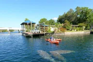 Crystal River Kayak Rental thumbnail 6