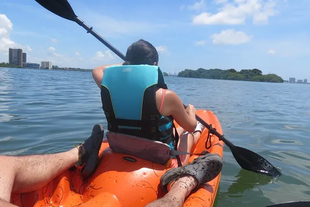 Miami Bay Kayak Eco Tour - Image 5