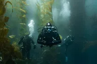 San Diego Open Water Diver Certification Course thumbnail 2