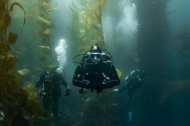 San Diego Open Water Diver Certification Course - Image 2