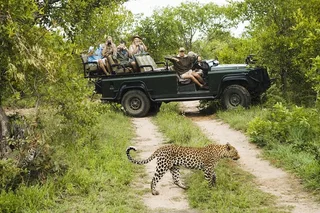 Durban Big 5 Safari Open Vehicle 14 hr