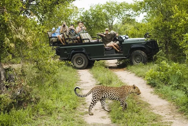 Durban Big 5 Safari Open Vehicle 14 hr - Image 1