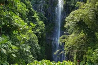 Maui Road to Hana Adventure Tour with Pickup thumbnail 5