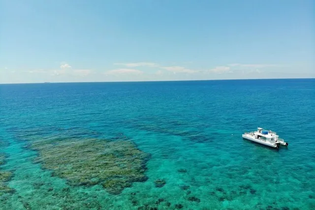 Key West Dolphin Watching and Snorkeling Cruise - Image 3